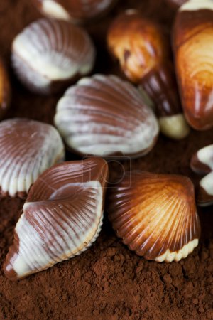 Swiss Chocolate Seashells Closeup