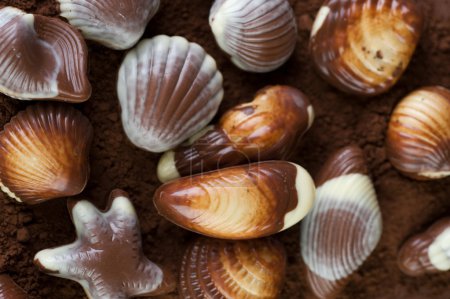 Chocolate Seashells Background